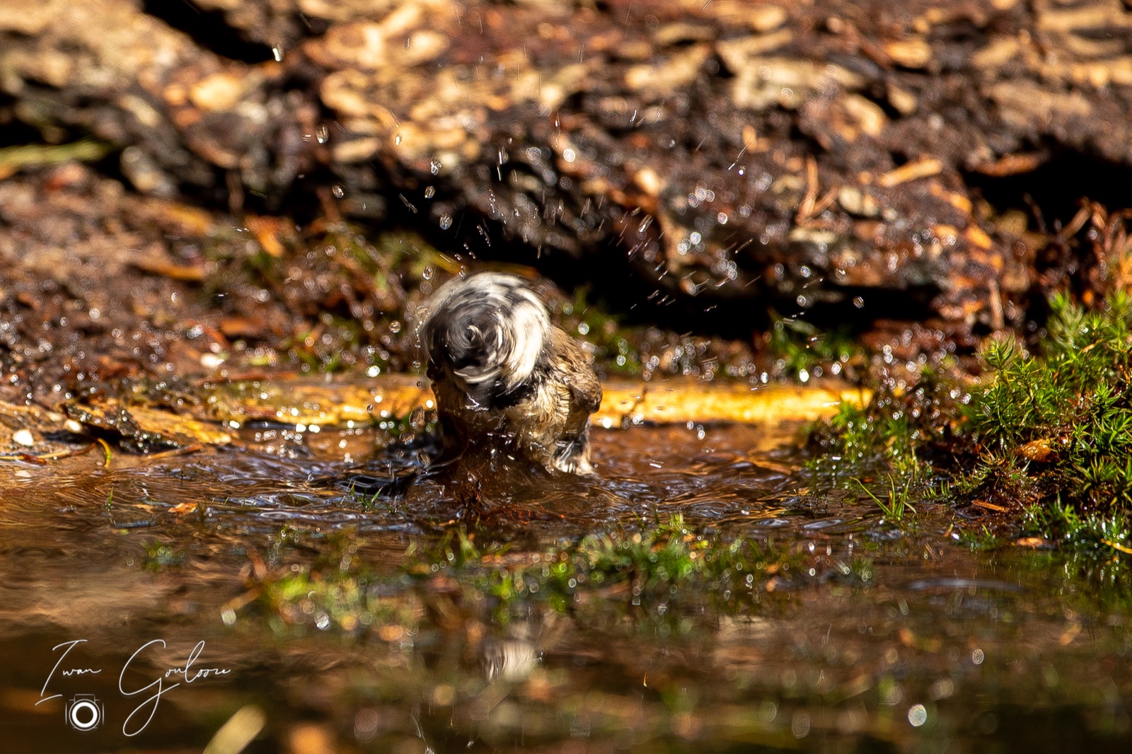 27 april 2022 145004  5D47967